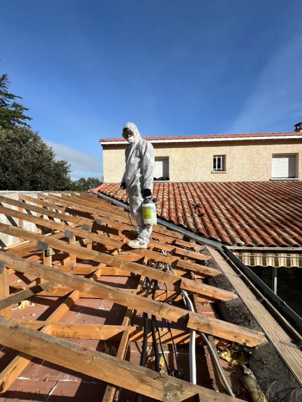 charpente traitement